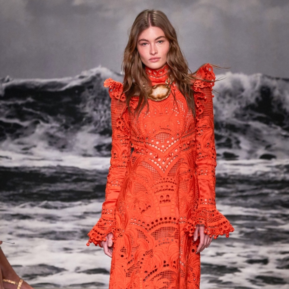 Stunning Zimmerman Dress